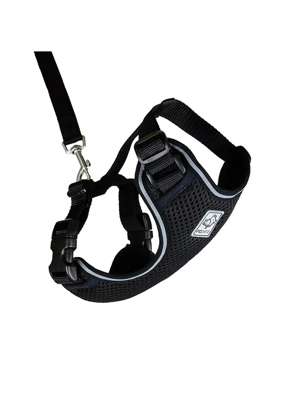 Adventure Kitty Cat Harness with Leash by RC Pet - Black - Medium