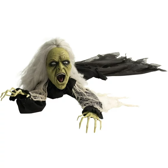 Haunted Hill Farm 63 In. Animatronic Witch, Multicolor